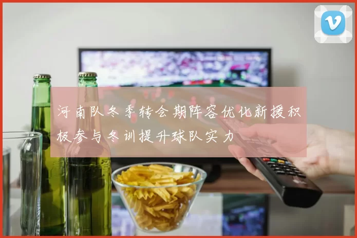 河南队冬季转会期阵容优化新援积极参与冬训提升球队实力